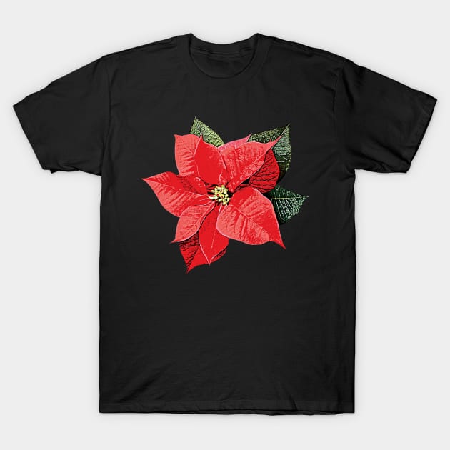 One Poinsettia T-Shirt by SusanSavad